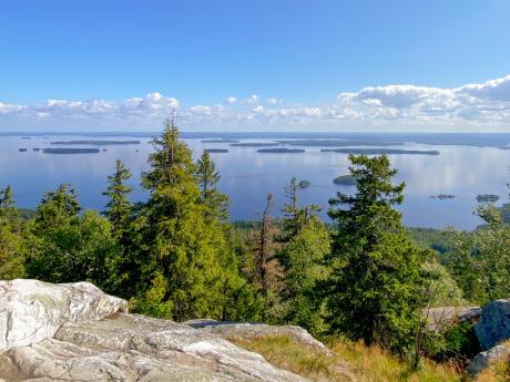 Výhled z vrchu Ukko-Koli na jezero Pielinen s množstvím mini ostrůvků